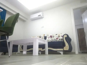 Aslan Luxury Concept