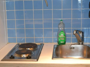 Goldfisch Apartment Vienna Opera House