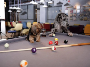 Link hotel & Hub By Dan Hotels