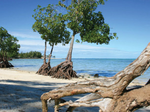 Jalsa Beach Hotel & Spa