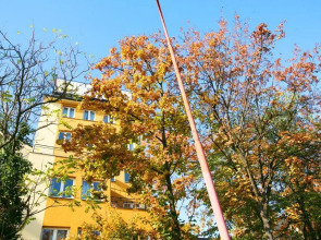 Freddie next to Mercury