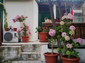 Garden Palace Boutique Hotel