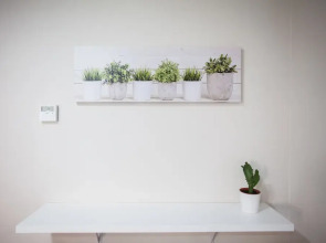 Loft Begonia Cordoba Estacion