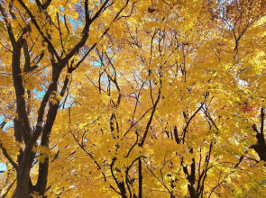 Mt Seorak the East Sea and Hot spring