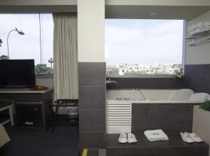 Palmetto Hotel Business San Miguel