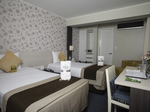 Palmetto Hotel Business San Miguel