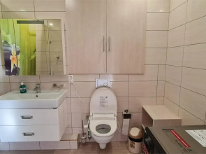 Серебряный бор (Сахалин)