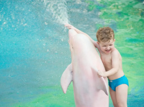 Бутик-отель The Beach Boutique House