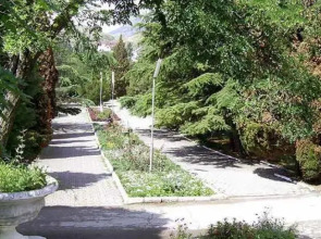 Гиацинт Сити