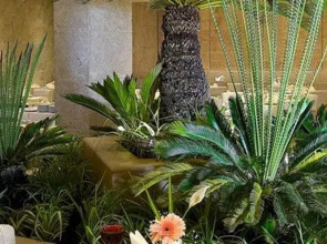 Izmir Ontur Hotel - Boutique Class