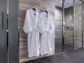 Hotel Villa Fontaine Premier Haneda Airport