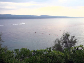 Sagitta All inclusive light