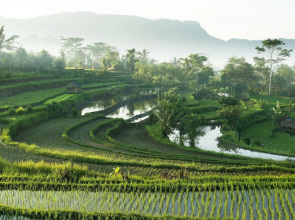 Samanvaya - Adults Only