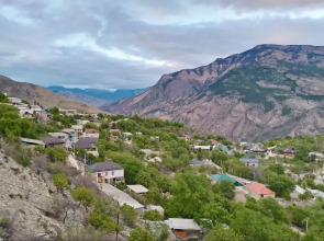 Родное гнездо