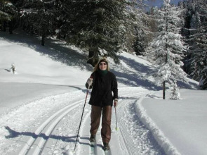 Gasthof Pension Falkeis