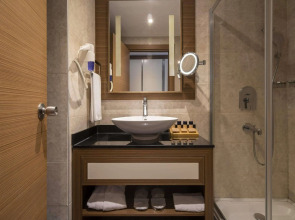 Downtown Ankara Hotel by Accor