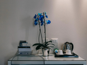 Avenue Boutique Hotel