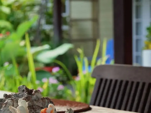 Residence Praslinoise