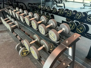 The Art of Living – Inspired Luxury Studio