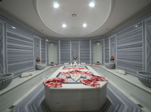 Отель Radisson Blu Hotel, Kayseri