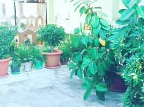 Alibaba Hotel Marmaris