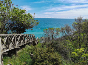 Лавровый сад