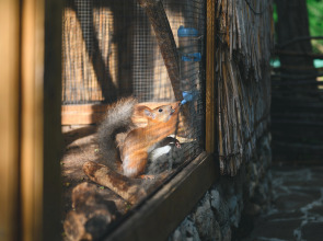 Полтава-Крым