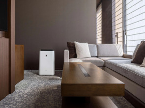 Hotel The Celestine Ginza