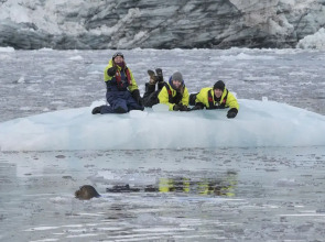 Svalbard Hotell - The Vault