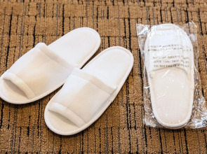 Hotel Mystays Premier Akasaka