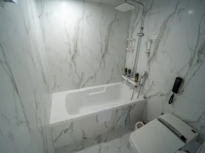 Hotel Eliena Seoul Gangnam