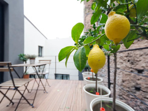 Pietranera Apartments