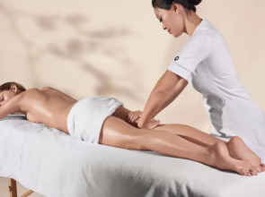 Hotel Le Narcisse Blanc & Spa