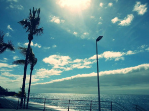 Apartamentos Playa Delphin