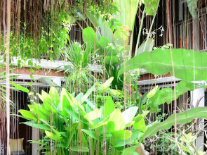 White House Beach Resort And Spa