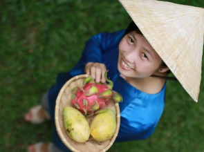 Waterside Resort & Spa