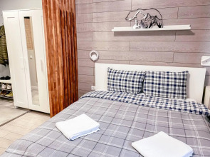 Арктик Хаус на улице Володарского 1