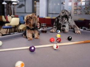 Link hotel & Hub By Dan Hotels