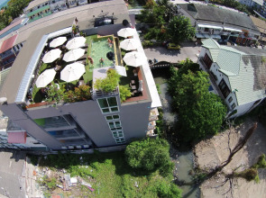 Cheeky Monkey's Samui