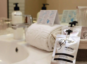 Venecia Plaza Centro Hotel