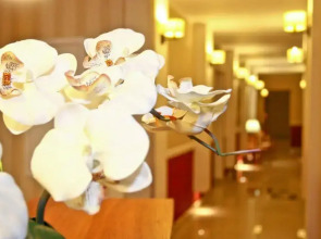 Отель «Четыре сезона»