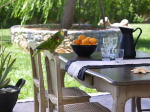 Sunvillage Malia Boutique Hotel & Suites