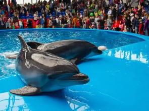 Горки Город Апартаменты