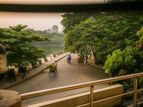 Hotel Tropical Daisy