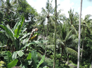 Nick's Hidden Cottages