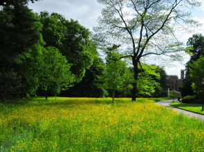 Hotel Schloss Eckberg