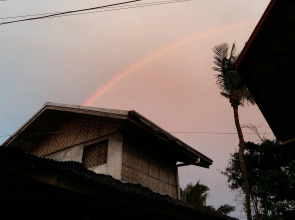 Neptune Diving Resort Moalboal