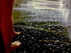 Hotel Granada Palace