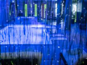 Montana Chalet Hôtel Spa