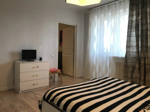 Apartment Tsentralnaya (Апартмент Центральная)